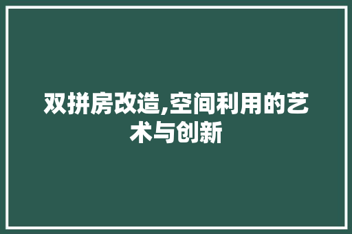 双拼房改造,空间利用的艺术与创新