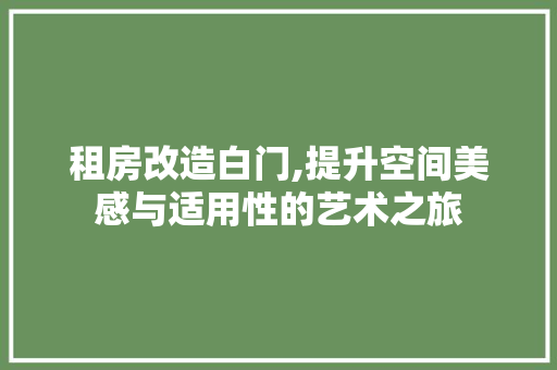 租房改造白门,提升空间美感与适用性的艺术之旅