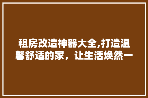 租房改造神器大全,打造温馨舒适的家，让生活焕然一新