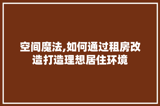 空间魔法,如何通过租房改造打造理想居住环境
