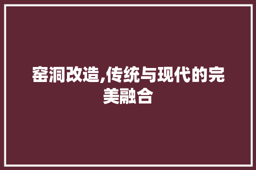 窑洞改造,传统与现代的完美融合