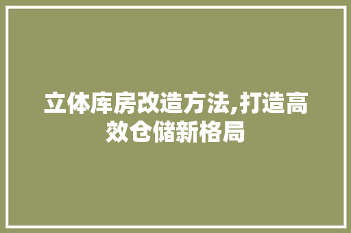 立体库房改造方法,打造高效仓储新格局