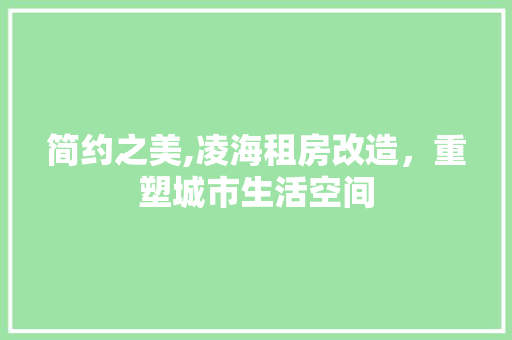 简约之美,凌海租房改造，重塑城市生活空间
