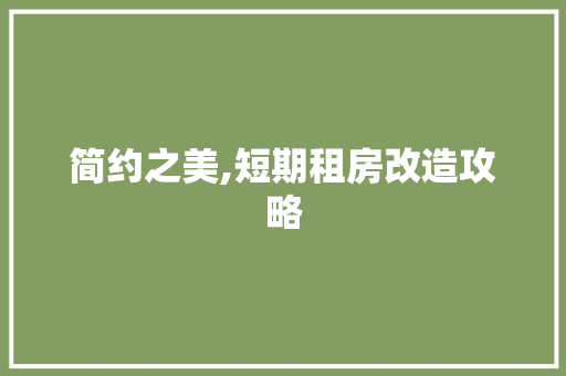 简约之美,短期租房改造攻略