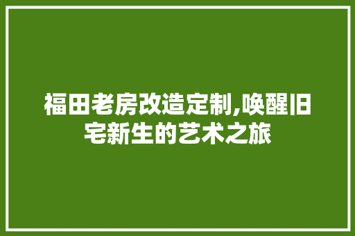 福田老房改造定制,唤醒旧宅新生的艺术之旅