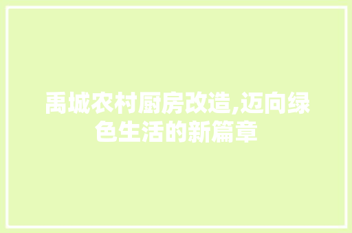 禹城农村厨房改造,迈向绿色生活的新篇章