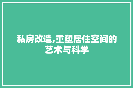 私房改造,重塑居住空间的艺术与科学