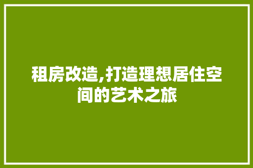 租房改造,打造理想居住空间的艺术之旅