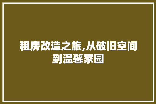 租房改造之旅,从破旧空间到温馨家园