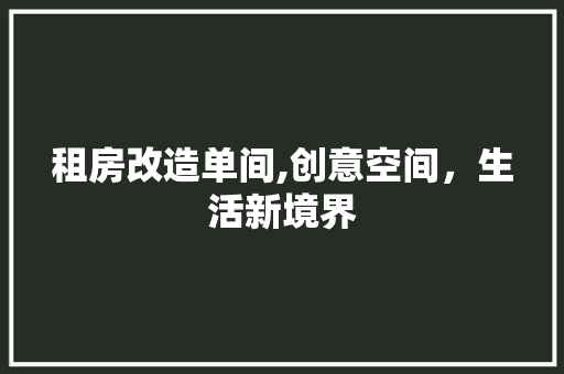 租房改造单间,创意空间，生活新境界