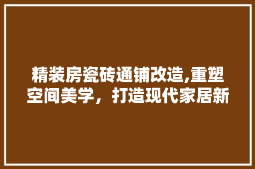 精装房瓷砖通铺改造,重塑空间美学，打造现代家居新风尚