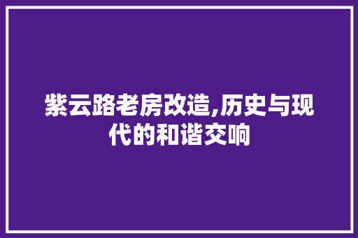 紫云路老房改造,历史与现代的和谐交响