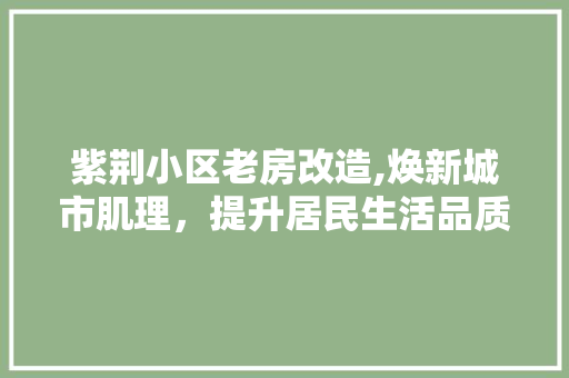 紫荆小区老房改造,焕新城市肌理，提升居民生活品质