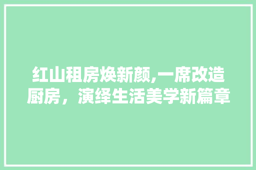 红山租房焕新颜,一席改造厨房，演绎生活美学新篇章