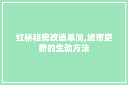 红桥租房改造单间,城市更新的生动方法