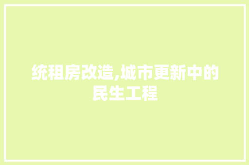 统租房改造,城市更新中的民生工程