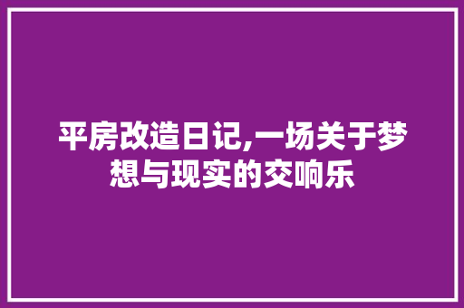 平房改造日记,一场关于梦想与现实的交响乐