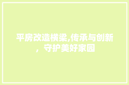 平房改造横梁,传承与创新，守护美好家园