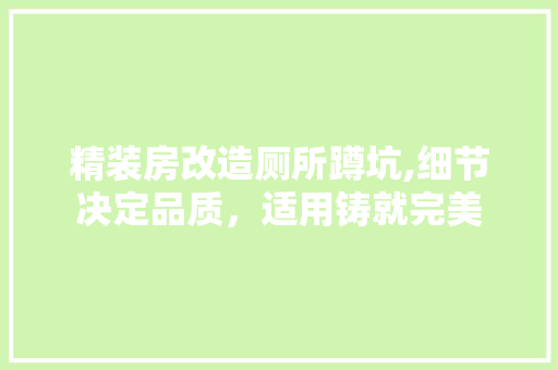 精装房改造厕所蹲坑,细节决定品质，适用铸就完美