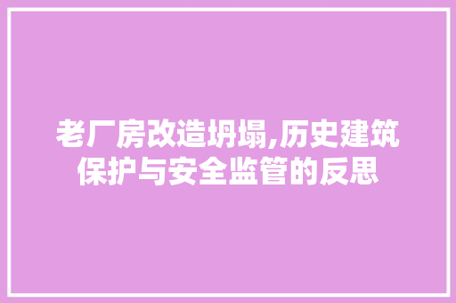 老厂房改造坍塌,历史建筑保护与安全监管的反思