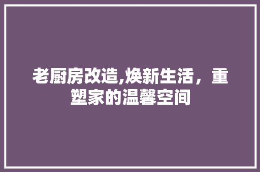老厨房改造,焕新生活，重塑家的温馨空间
