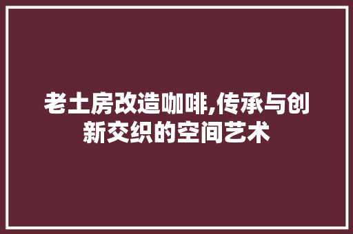 老土房改造咖啡,传承与创新交织的空间艺术