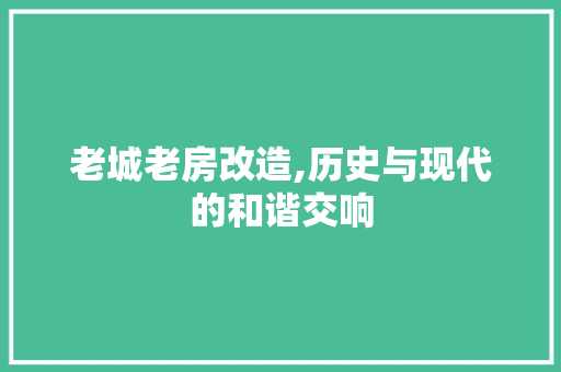 老城老房改造,历史与现代的和谐交响