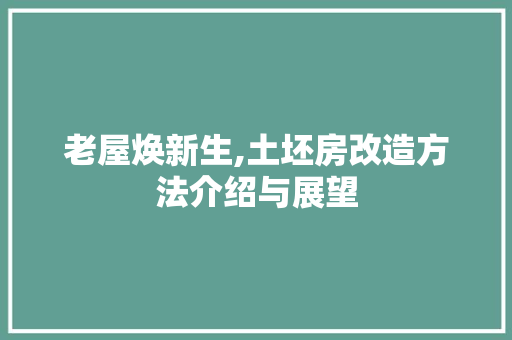老屋焕新生,土坯房改造方法介绍与展望