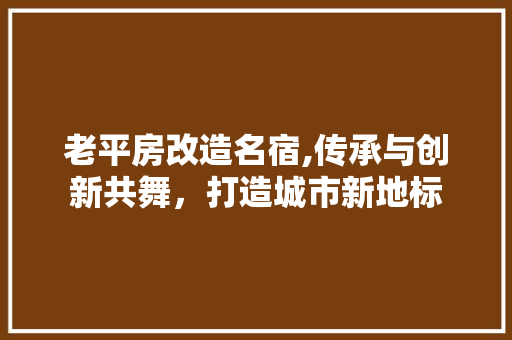老平房改造名宿,传承与创新共舞，打造城市新地标