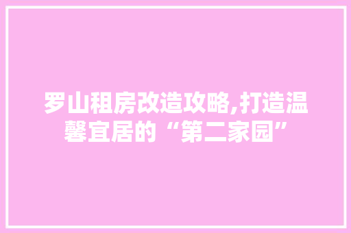 罗山租房改造攻略,打造温馨宜居的“第二家园”